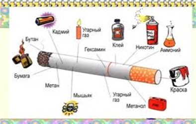 Табачная химия вредит всем органам без исключения